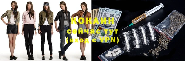 PSILOCYBIN Гусь-Хрустальный