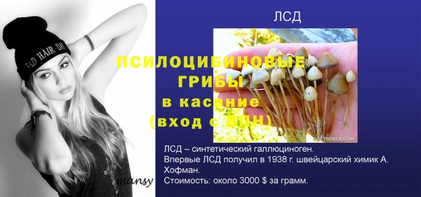 дживик Дмитриев