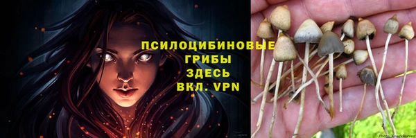 бутират Дмитровск