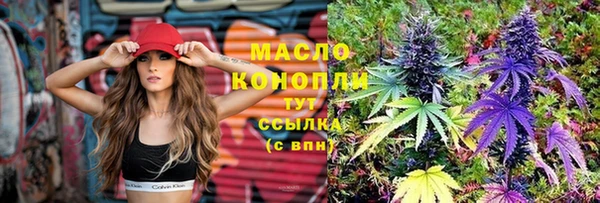 МДПВ Гусев